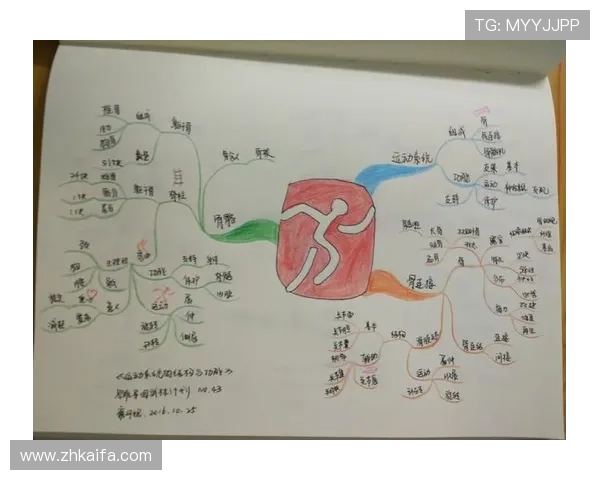 凯发体育app首页用户评价与使用体验分享，了解真实用户的使用感受与建议